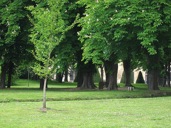 FR-Asniere-Abbaye_de_Royaumont-a80_2005-05-08_0008.jpg