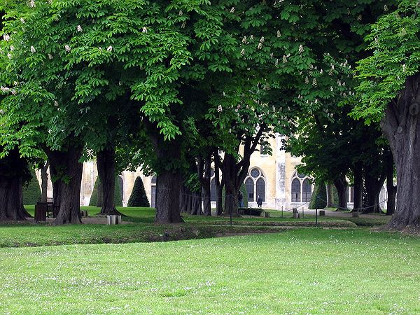 FR-Asniere-Abbaye_de_Royaumont-a80_2005-05-08_0009.jpg