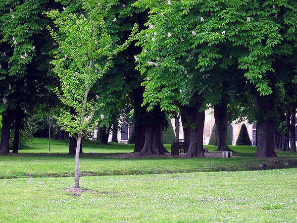 FR-Asniere-Abbaye_de_Royaumont-a80_2005-05-08_0071.jpg