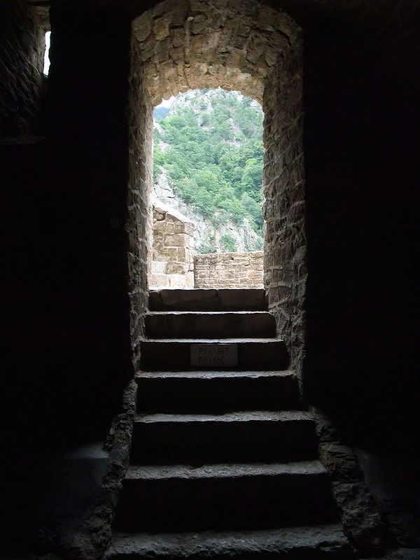 FR-Saint_Martin_du_Canigou-Saint_Martin-f100_2008-08-13_1751_pt.jpg