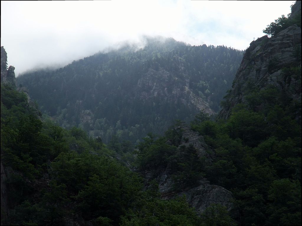 FR-Saint_Martin_du_Canigou-Saint_Martin-f100_2008-08-13_1884_pt.jpg