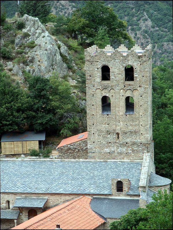 FR-Saint_Martin_du_Canigou-Saint_Martin-f100_2008-08-14_1927_pt.jpg